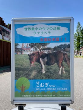 東武動物公園に投稿された画像（2022/4/30）