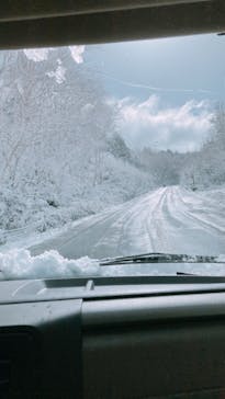 志賀高原中央エリアスキー場に投稿された画像（2022/4/30）