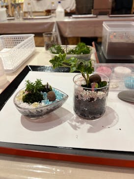 伊勢夫婦岩めおと横丁　めおと岩アクティビティに投稿された画像（2022/4/30）