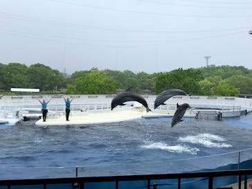 京都鉄道博物館×京都水族館に投稿された画像（2022/4/30）