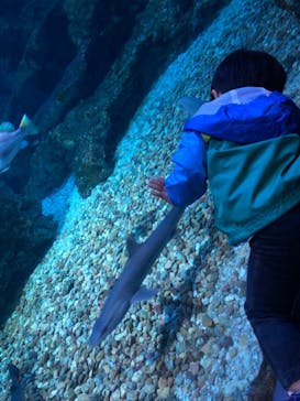 京都鉄道博物館×京都水族館に投稿された画像（2022/4/30）