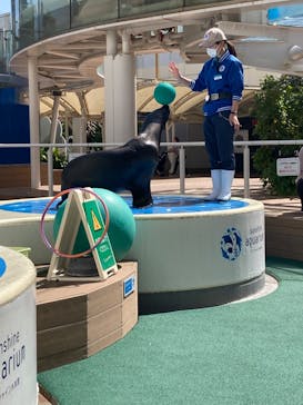 サンシャイン水族館に投稿された画像（2022/4/30）