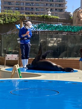 サンシャイン水族館に投稿された画像（2022/4/30）