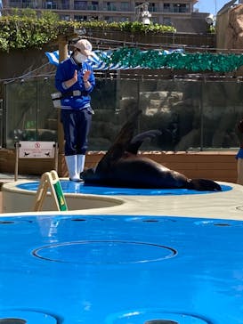 サンシャイン水族館に投稿された画像（2022/4/30）