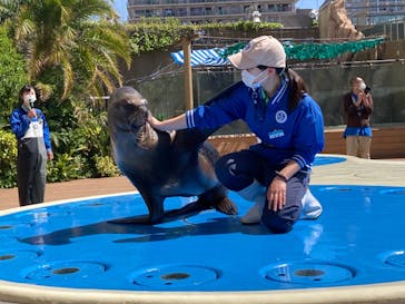 サンシャイン水族館に投稿された画像（2022/4/30）