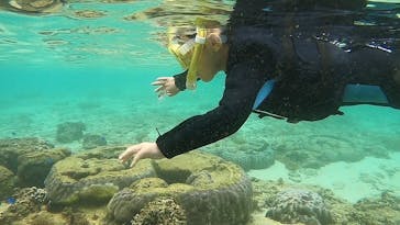 武藤潜水に投稿された画像（2022/4/30）