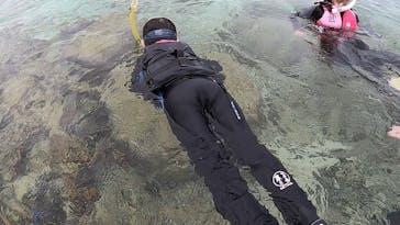 武藤潜水に投稿された画像（2022/4/30）