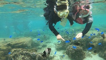 武藤潜水に投稿された画像（2022/4/30）