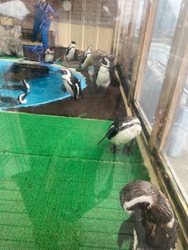 名古屋港水族館に投稿された画像（2022/4/30）