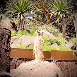 伊豆シャボテン動物公園に投稿された画像（2022/5/1）