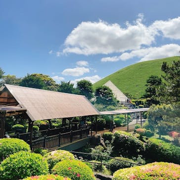伊豆シャボテン動物公園に投稿された画像（2022/4/30）