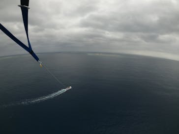 Sea World（シーワールド）に投稿された画像（2022/4/30）