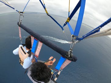 Sea World（シーワールド）に投稿された画像（2022/4/30）