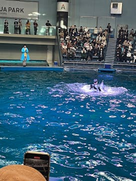 マクセル アクアパーク品川に投稿された画像（2022/4/30）