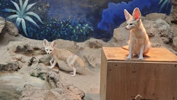 伊豆シャボテン動物公園に投稿された画像（2022/4/30）
