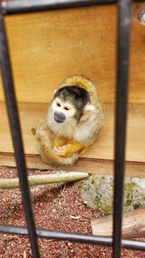 伊豆シャボテン動物公園に投稿された画像（2022/4/30）