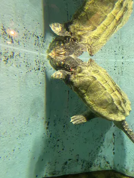 天王寺動物園に投稿された画像（2022/5/1）