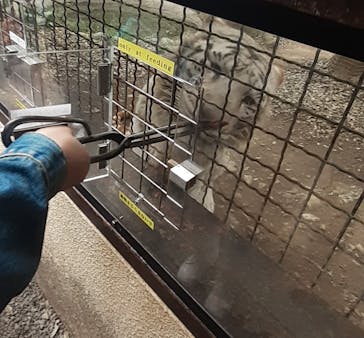 群馬サファリパークに投稿された画像（2022/5/1）