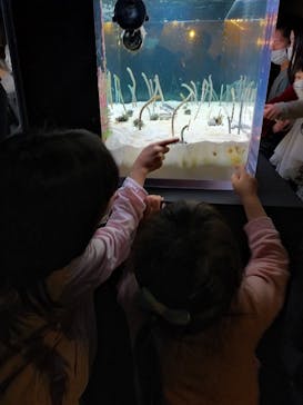 京都水族館に投稿された画像（2022/5/1）
