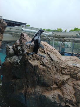 京都水族館に投稿された画像（2022/5/1）