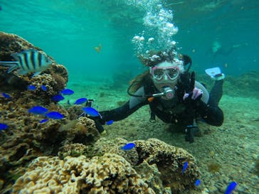 DIVING-SHOP SUNSに投稿された画像（2022/5/1）