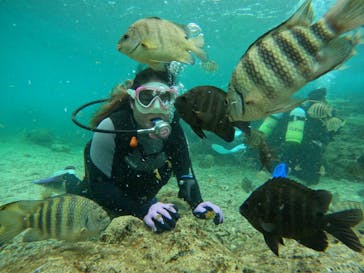 DIVING-SHOP SUNSに投稿された画像（2022/5/1）