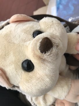 新江ノ島水族館に投稿された画像（2022/5/1）