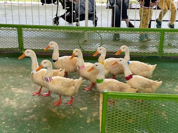 別府ケーブルラクテンチに投稿された画像（2022/5/1）