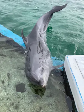 横浜・八景島シーパラダイスに投稿された画像（2022/5/1）