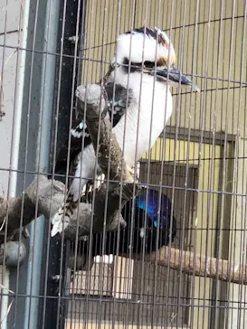 天王寺動物園に投稿された画像（2022/5/1）