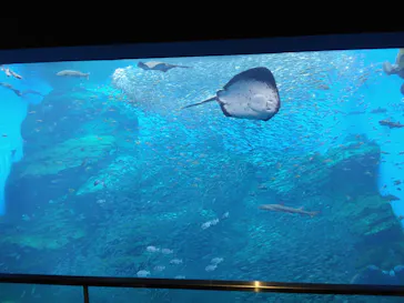 仙台うみの杜水族館に投稿された画像（2022/5/1）