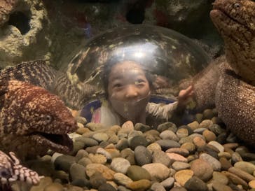 伊豆・三津シーパラダイスに投稿された画像（2022/5/1）