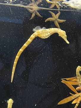 株式会社Gに投稿された画像（2022/5/1）