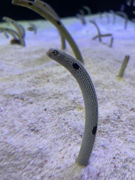 株式会社Gに投稿された画像（2022/5/1）