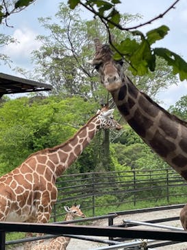 長崎バイオパークに投稿された画像（2022/5/1）