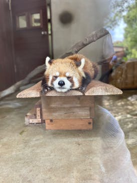 長崎バイオパークに投稿された画像（2022/5/1）