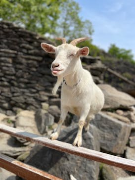 長崎バイオパークに投稿された画像（2022/5/1）