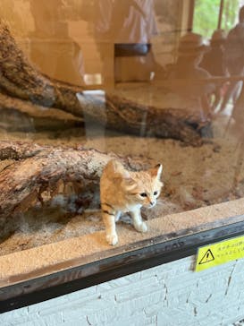 長崎バイオパークに投稿された画像（2022/5/1）