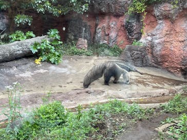 よこはま動物園ズーラシアに投稿された画像（2022/5/1）