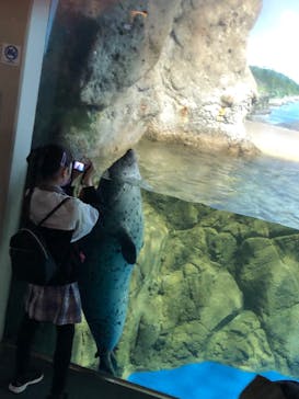 新江ノ島水族館に投稿された画像（2022/5/1）