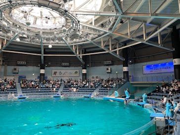 マクセル アクアパーク品川に投稿された画像（2022/5/1）