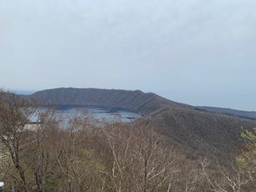 のぼりべつクマ牧場に投稿された画像（2022/5/1）