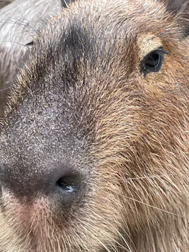 神戸どうぶつ王国に投稿された画像（2022/5/1）