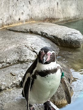 城崎マリンワールドに投稿された画像（2022/5/1）