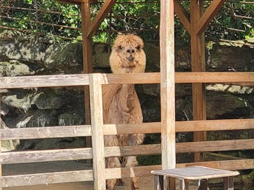 長崎バイオパークに投稿された画像（2022/5/1）