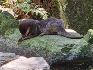 長崎バイオパークに投稿された画像（2022/5/1）