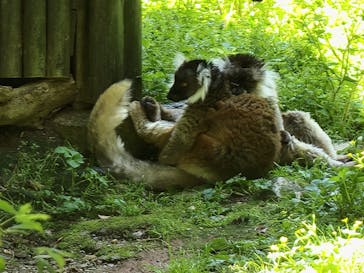 長崎バイオパークに投稿された画像（2022/5/1）