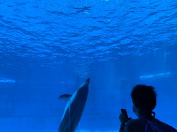 名古屋港水族館に投稿された画像（2022/5/1）