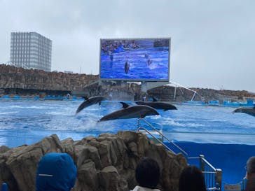 名古屋港水族館に投稿された画像（2022/5/1）
