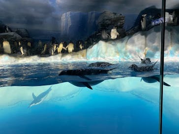 名古屋港水族館に投稿された画像（2022/5/1）